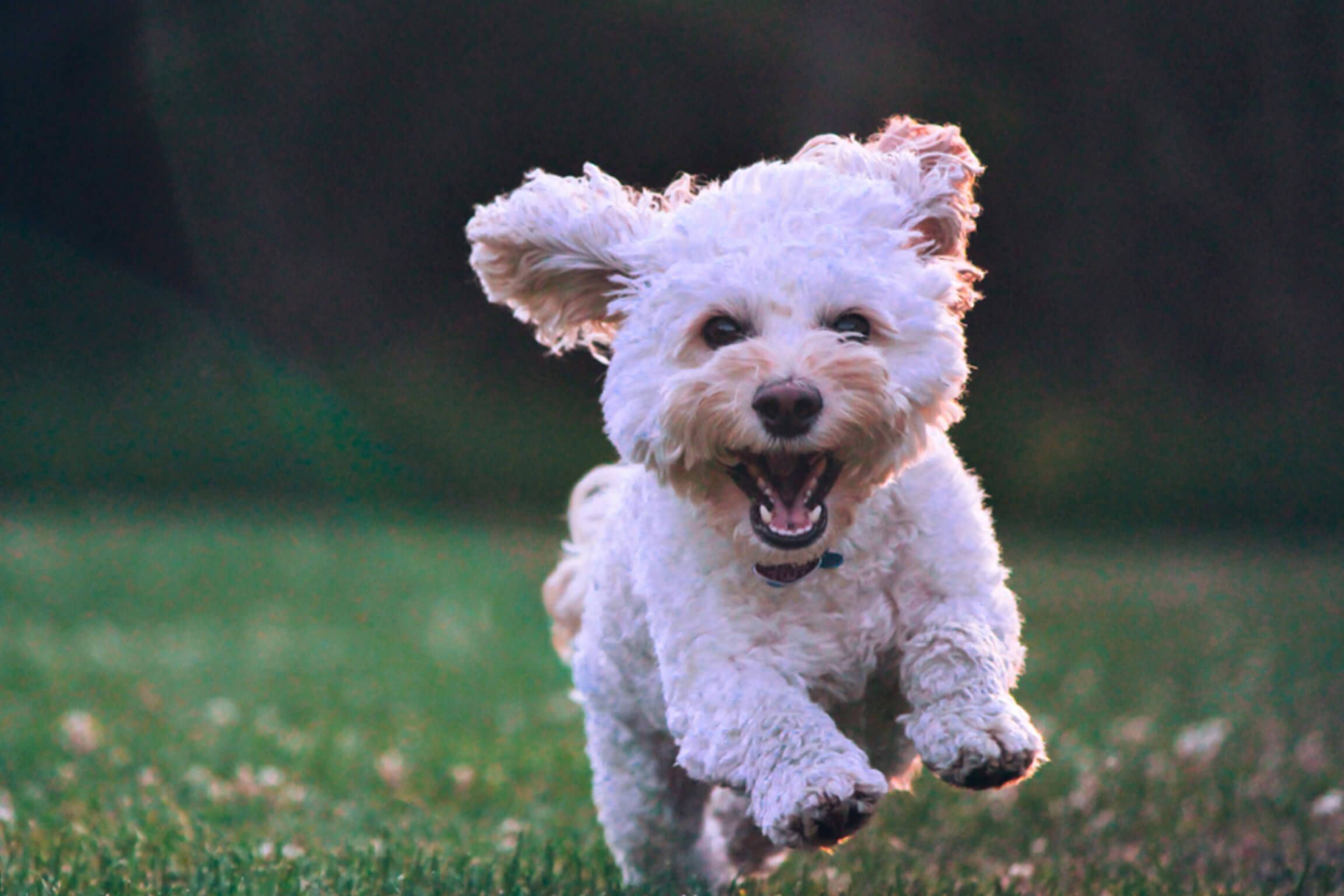 Hotel room with view