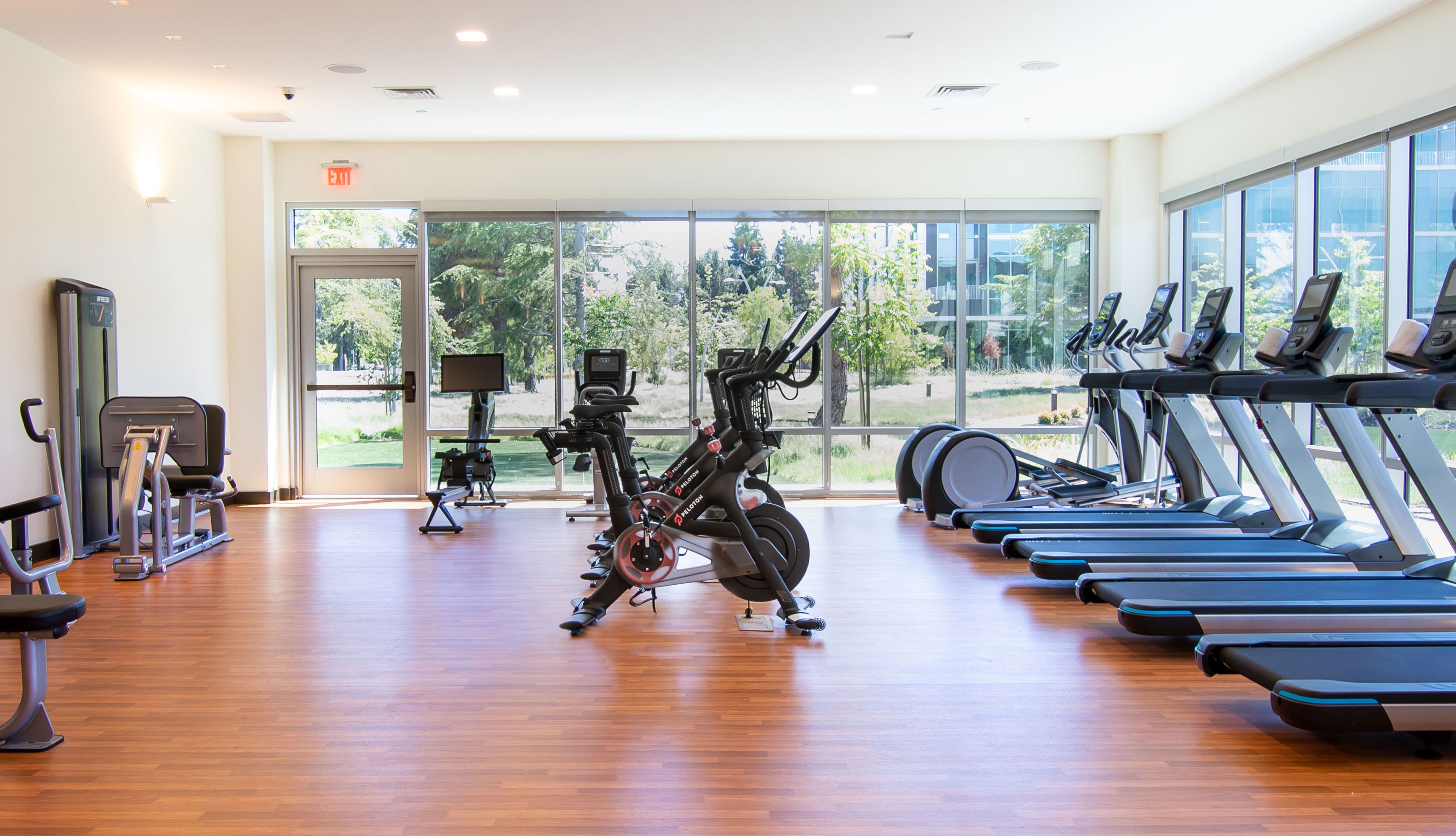 The rolling hils of the organic Juice Beauty farm on a sunny day